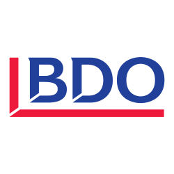 Bdo Usa, Llp